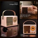 Walta Elite Retro Vintage Speaker